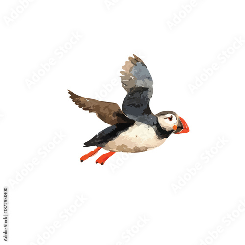 Flying Puffin Bird Vector Illustration 1.