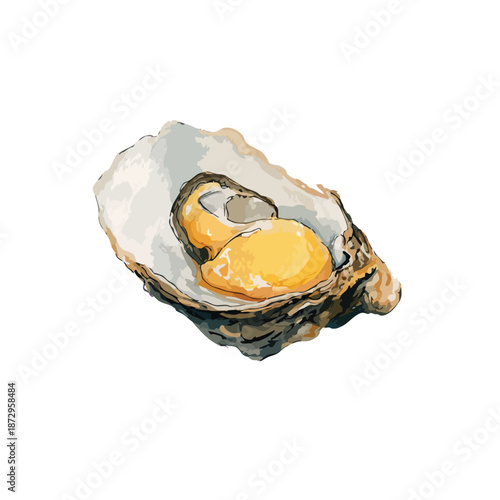 Fresh Oyster Seafood Delicacy Vector Illustration.