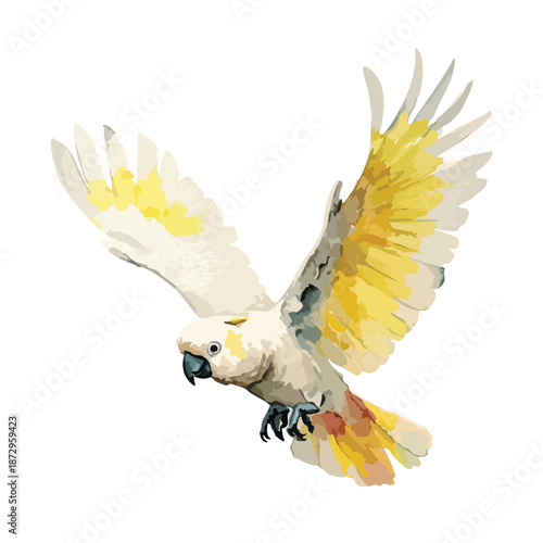 Graceful Flying Cockatoo Vector Illustration.