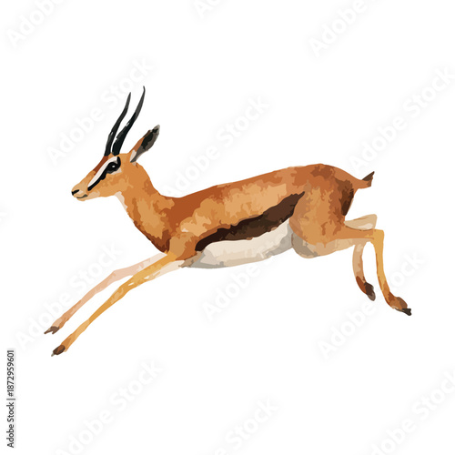 Graceful Running Gazelle Illustration Vector Art.