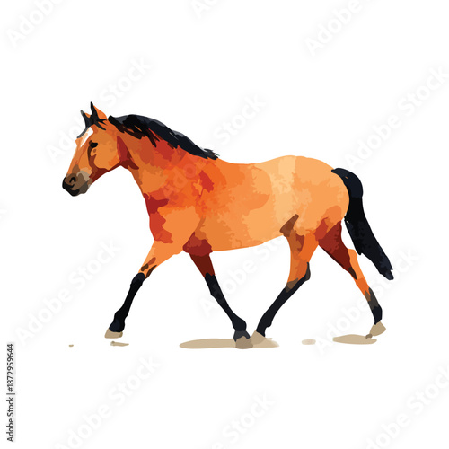 Graceful Walking Horse Vector Illustration.