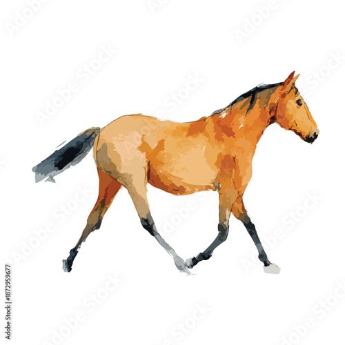 Graceful Watercolor Horse Illustration Walking Isolated.