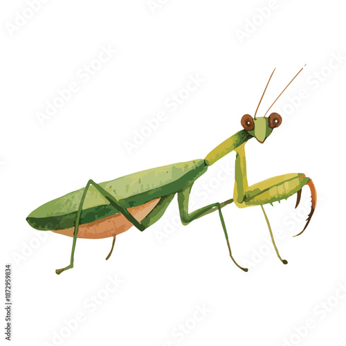 Green Praying Mantis Vector Illustration 1.