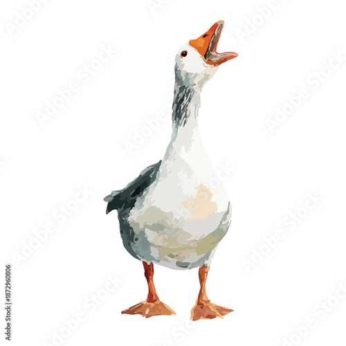 Honking Goose Vector Illustration Farm Bird with Open Beak.