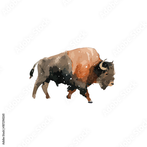 Majestic American Bison Watercolor Illustration Wildlife Art.