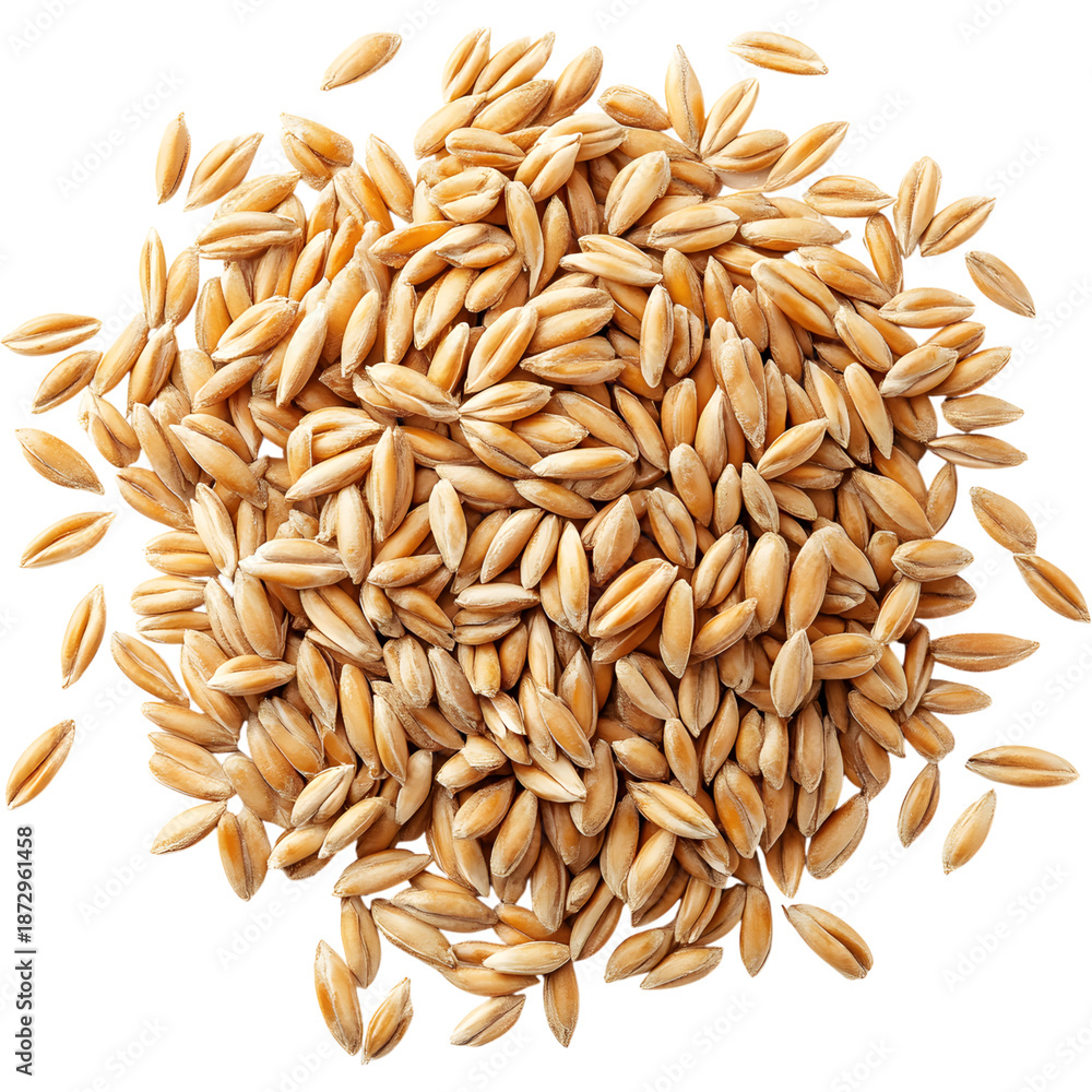 Obraz premium Pile of wheat grains isolated on transparent background. Natural cereal crop for agriculture, baking and healthy food concepts.