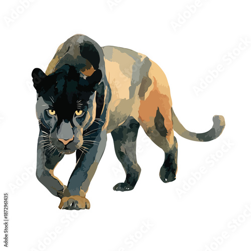 Majestic Black Panther Vector Illustration.