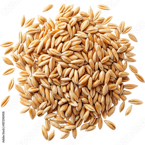 Pile of wheat grains isolated on transparent background. Natural cereal crop for agriculture, baking and healthy food concepts.