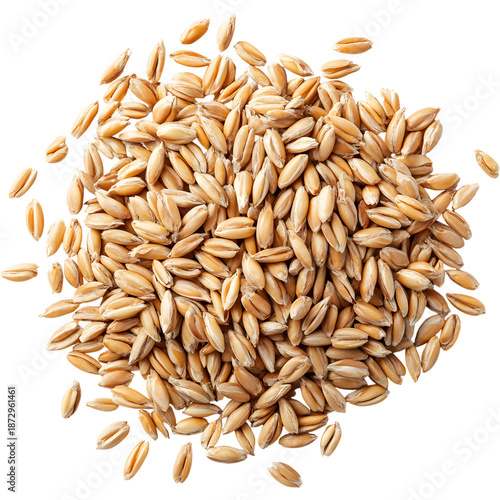 Pile of wheat grains isolated on transparent background. Natural cereal crop for agriculture, baking and healthy food concepts.