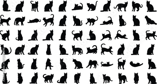 Black, cat, silhouettes, set, different, poses, sitting, walking, playing, sleeping, animal, pet, icons, isolated, vector, design, collection, graphic, elements, illustration