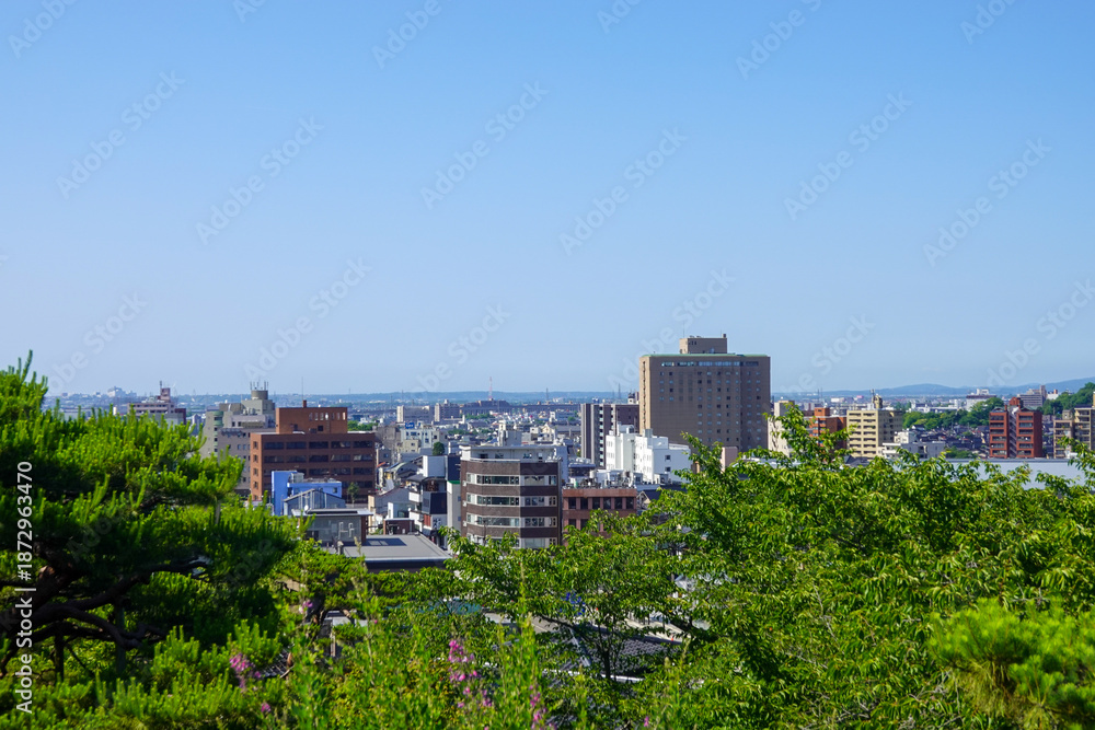 Fototapeta premium Shaded courtyard view of scenic Japanese garden landscape under clear blue sky