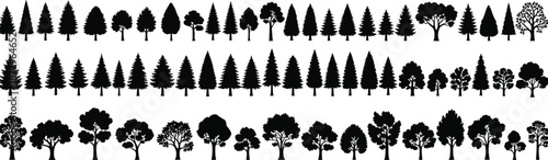 Tree silhouette collection, various forest pine and deciduous trees, landscape nature icons, black woodland shapes, isolated illustration set