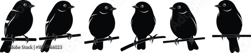 Bird silhouettes perched on branch collection isolated on white background wildlife nature illustration vector animal design elements