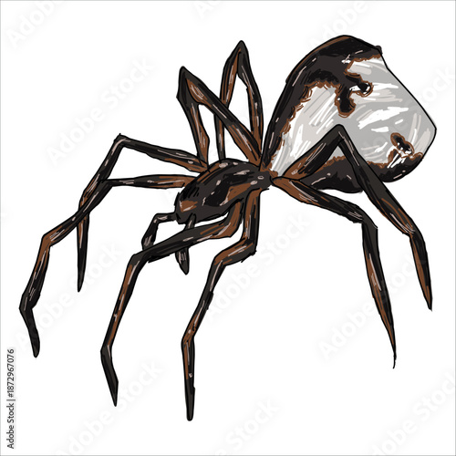 The dew drop spider. Argyrodes antipodianus. Tiny, silver. Colorful, hand-drawn, vector illustration. Picturesque. Unique detailed stylization. Print on sketchbooks, stickers, postcards, cups, clothes