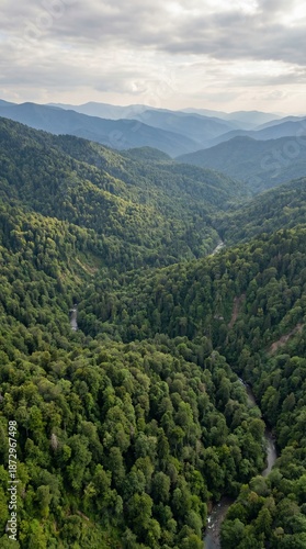 Serene vertical landscape of lush green mountains. Scenic nature vista features flowing river surrounded by dense foliage. Perfect image for travel, adventure, and outdoor themes.