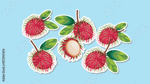 rambutan fruits and leaves on blue background