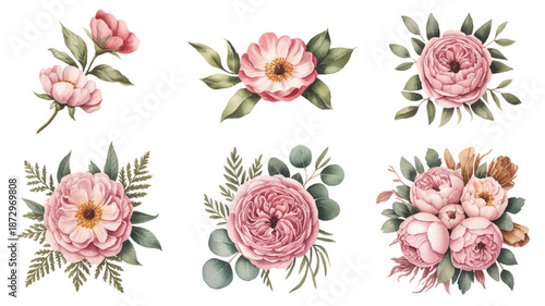 set of pink flowers and green leaves on white background