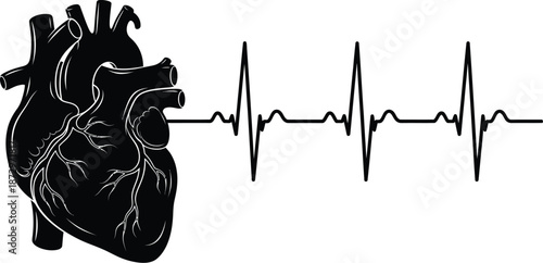 Black silhouette illustration of a human anatomical heart alongside a clear representation of a normal cardiac electrocardiogram rhythm line.