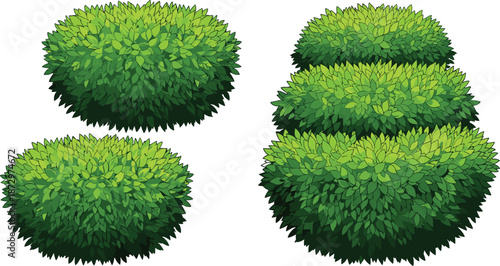 Green bush set, lush garden shrubs, decorative foliage collection, landscaping elements, natural hedge shapes, vector illustration design asset pack modern