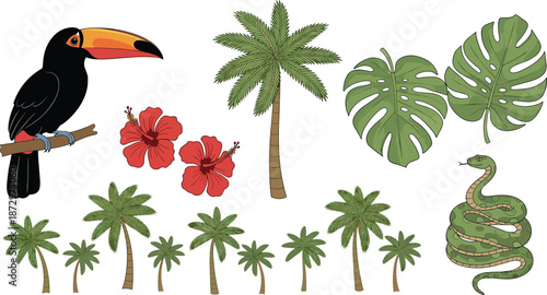 Tropical jungle set with toucan palm trees snake hibiscus and monstera leaves, exotic nature elements, vector illustration pack