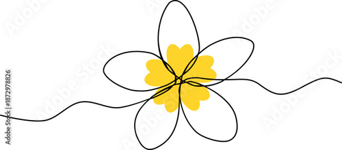 flower continuous line art vector