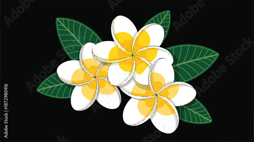 white and yellow plumeria flowers with green leaves