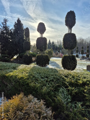 japanese garden in japan