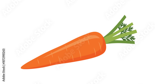 Bright orange carrot with green leafy tops, a classic root vegetable known for its crunchy texture, isolated on a white background.