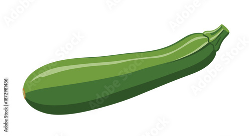 Fresh, whole green zucchini with a smooth, glossy skin and a light green stem, isolated on a white background for culinary use.