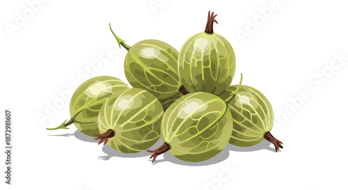A pile of fresh green gooseberries with visible veins and small stems, illustrated in a detailed, realistic style on a white background.