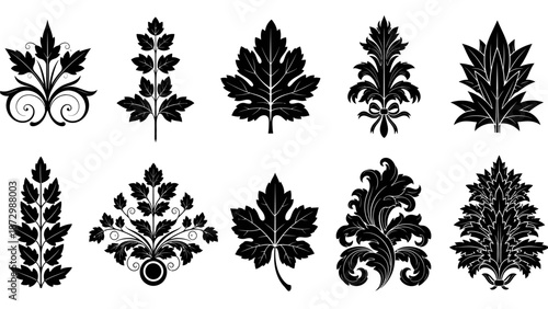 Elegant Black Leaf Ornaments and Flourishes - Vintage Decorative Vector Elements for Design Projects