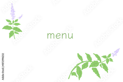 ミントの手書きカラーイラスト素材