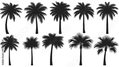 Collection of Silhouette Palm Trees.