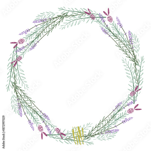 ラベンダーの手書きカラーイラスト素材