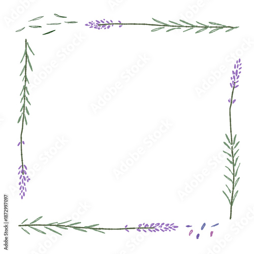 ラベンダーの手書きカラーイラスト素材