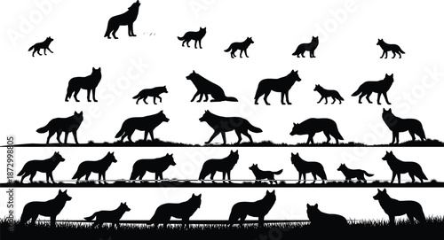 Wolf silhouettes set showing wild animals in different poses walking running howling wildlife nature forest predator black vector illustration