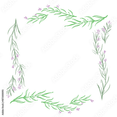 ローズマリーの手書きカラーイラスト素材