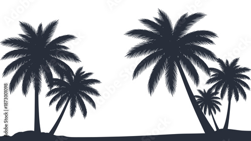 Silhouette of palm trees on a tropical island beach.
