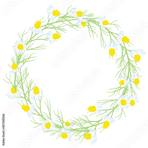 05_カモミール_01-02