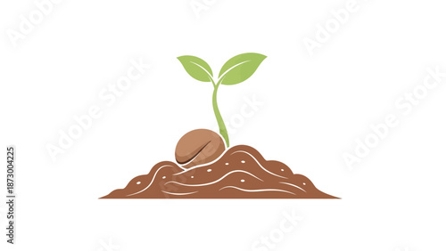 Small green plant sprouting from brown soil with coffee bean