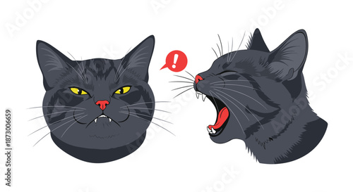 Detailed illustrations of two dark grey cat heads showing different emotions including one with a grumpy face and another yawning wide.
