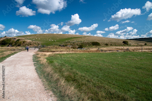 Angia - Białe klify