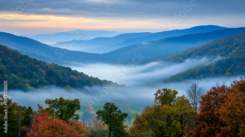 Beautiful Foggy Mountain Landscape with Trees