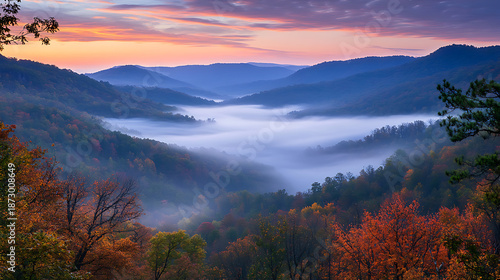 Beautiful Foggy Mountain Landscape with Trees