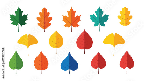 Collection of various stylized autumn and summer tree leaves displaying diverse shapes and vibrant colors
