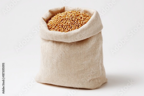 Full burlap sack overflowing with golden wheat grains on a clean white background