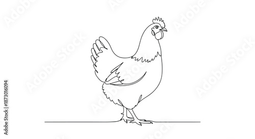 Minimalist continuous line drawing of a standing hen or chicken shown in a simple yet elegant black and white sketch style on a white page.