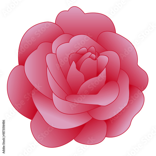 An isolated illustration of a pink rose.