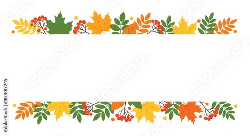 Elegant autumn border frame made of various colorful fallen leaves like maple and rowan with berries on a white background.