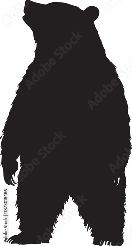 Standing Bear Silhouette Mammal Wild Animal Biology Fauna Vector Isolated on White